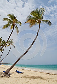 Caribbean feeling in punta cana