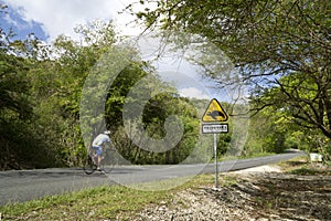 Caribbean, French West Indies, Guadeloupe island, view of a coastal road