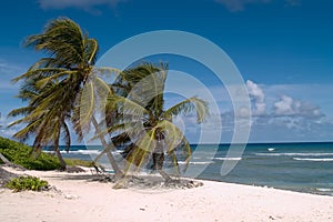 Caribbean Island Afternoon