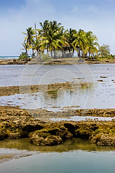 Caribbean Island Portrait