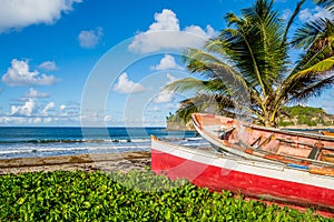 Caribbean Martinique beach beside traditional fishing boats