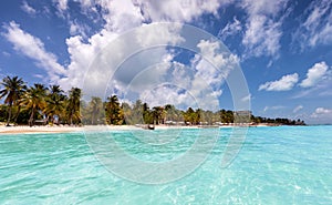 Caribbean paradise beach in Isla Mujeres, Mexico photo