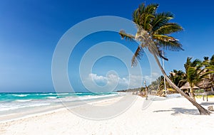 Caribbean paradise beach in Tulum