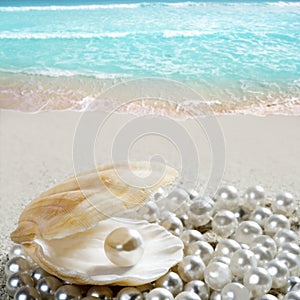 Caribbean pearl on shell white sand beach tropical photo