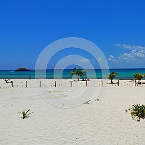 Caribbean in playacar photo