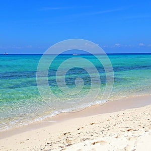 Caribbean in playacar photo