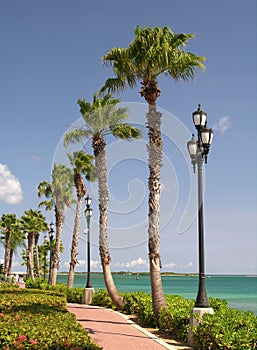 Caribbean Promenade