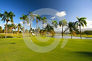 Caribbean Resort Golf