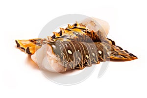 Caribbean rock lobster tails on a white background.