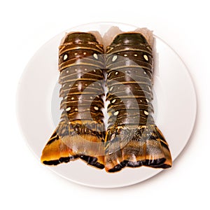 Caribbean rock lobster tails on a white background.