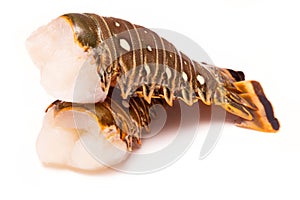 Caribbean rock lobster tails on a white background.