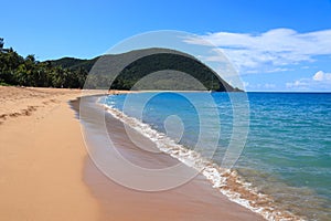 Caribbean sandy beach