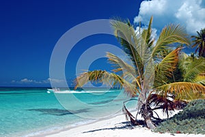 Caribbean, Saona Island, dream beach
