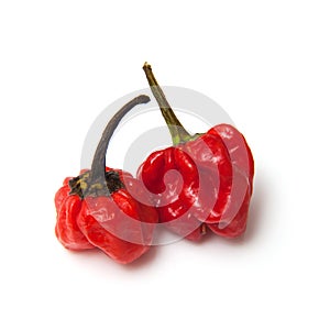 Caribbean or Scotch Bonnet Peppers, Isolated