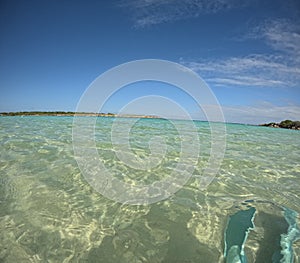 caribbean sea and beach in petite terre with blue fins