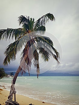 The Caribbean Sea and beautiful beaches in Jamaica