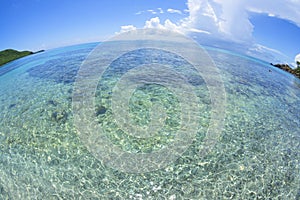 Caribbean sea fisheye view