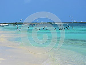 Caribbean sea, Los Roques. Vacation in the blue sea and deserted islands.