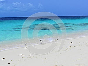 Caribbean sea, Los Roques. Vacation in the blue sea and deserted islands.