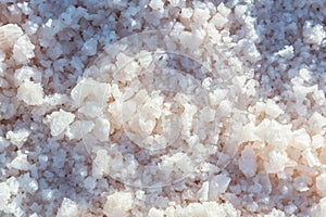 Caribbean sea Pink Salt Background
