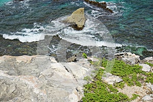 Caribbean sea, rocks and iguana resting in Punta Sur photo