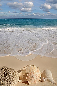 Caribbean sea tropical turquoise beach