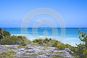 The Caribbean Sea and white wave beach under blue sky, Tulum, Yucatan Peninsula, Mexico, green grass foreground, text copy space