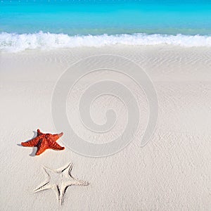 Caribbean starfish tropical sand turquoise beach