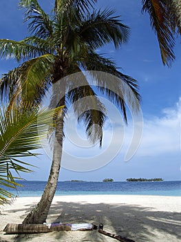 Caribbean tropical white sand beach
