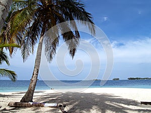 Caribbean tropical white sand beach