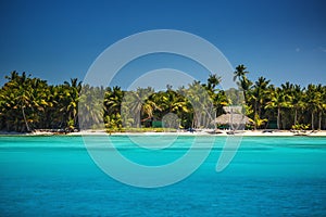 Caribbean wild beach, Punta Cana