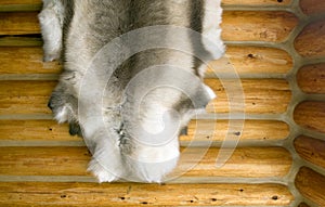 Caribou Pelt on Log Wall