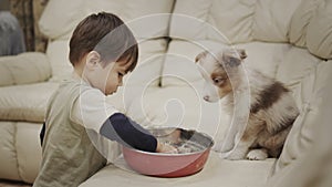 A caring boy of two years feeds his wife on the couch in the living room. Funny videos with children and animals