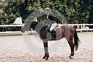 Caring equestrian. Caring professional equestrian calming his favorite horse before important horserace