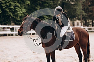 Caring equestrian. Caring professional equestrian calming his favorite horse before important horserace