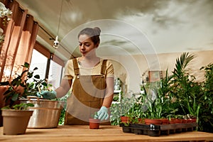 Caring female gardener in protective gloves using small shovel for pouring dirt or soil while transplanting plant into