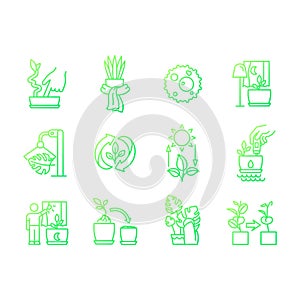 Caring for houseplants gradient gradient linear vector icons set