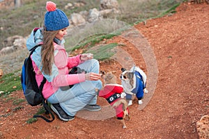 Caring young cute woman owner in winter clothes feeding her small chihuahua dogs dressed in blue and red costume during