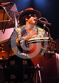 Carlinhos Brown in concert