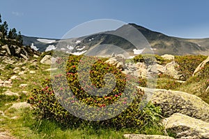 Carlit mountain and lakes , Les Bouillouses, France