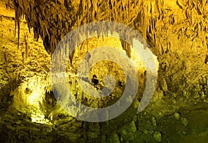 Carlsbad Cavern