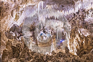 Carlsbad Cavern National Park, New Mexico, USA