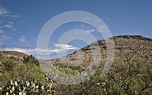 Carlsbad Caverns- Above-Ground Scenery