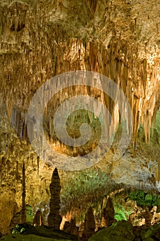 Carlsbad Caverns national park