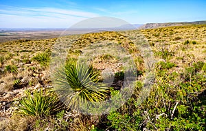 Carlsbad Caverns National Park