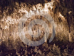 Carlsbad Caverns National Park in New Mexico