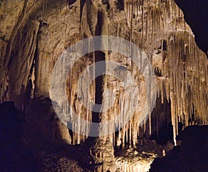 Carlsbad Caverns National Park in New Mexico