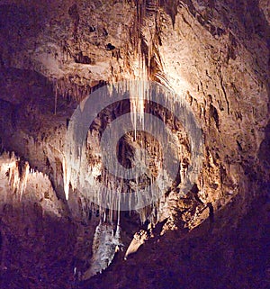 Carlsbad Caverns National Park in New Mexico