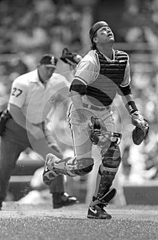 Carlton Fisk, Chicago White Sox catcher