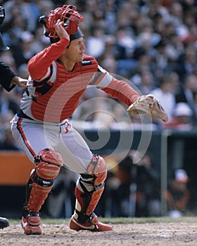 Carlton Fisk